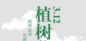 �y�ֲ�����������������